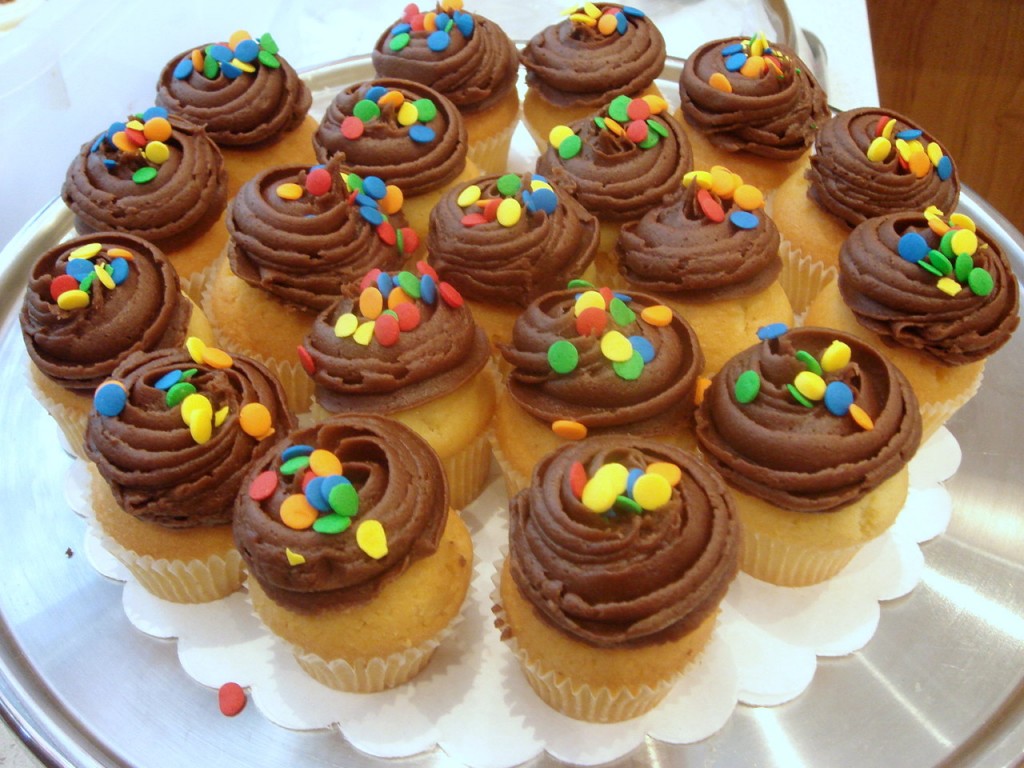 Mini vanilla cupcakes with chocolate icing