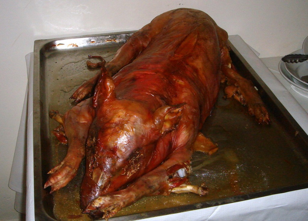 Roast suckling pig
