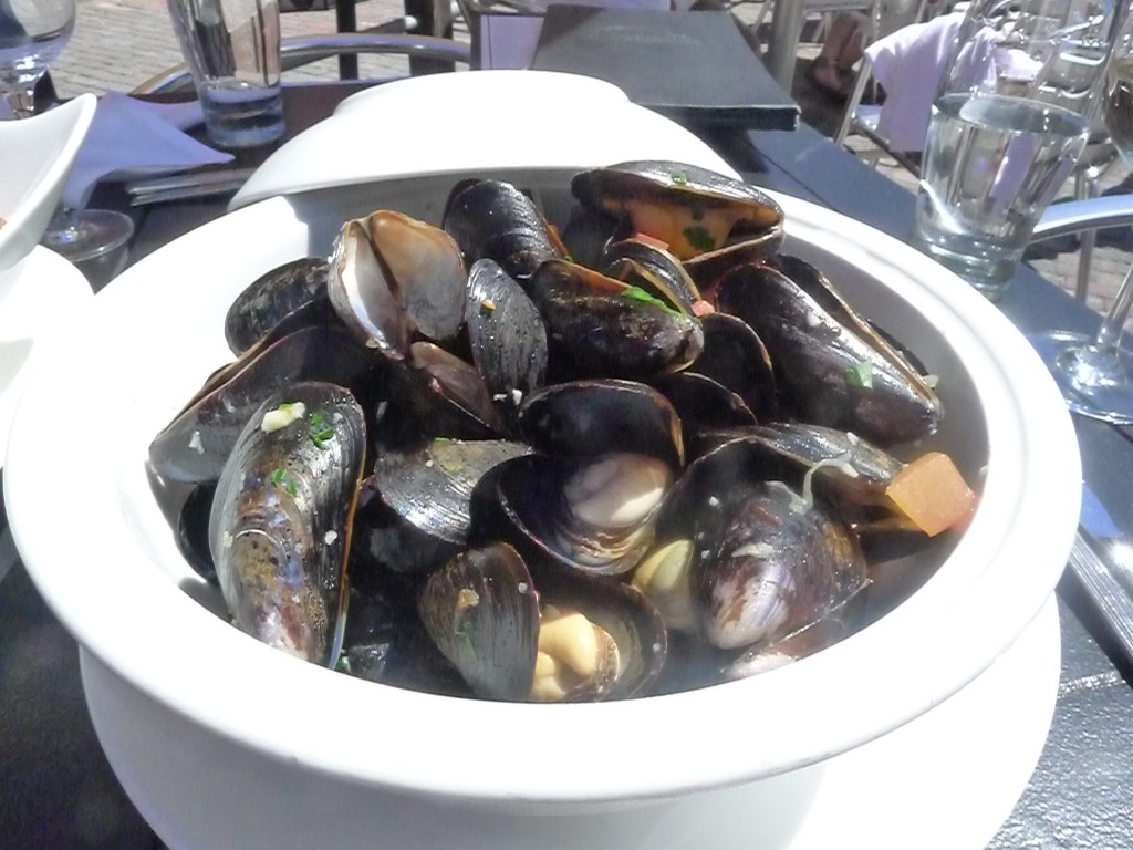 Traditional Provençale mussels