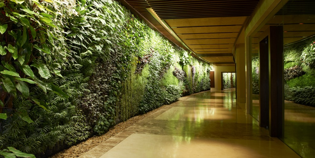 Green Sofitel Dubai The Palm Resort - Garden wall