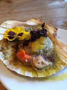 Rabbit - London Food Blog - Scallop with Nutbourne tomato