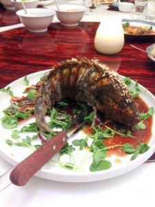 Cha Chaan Teng - London Food Blog - Whole crispy sea bream
