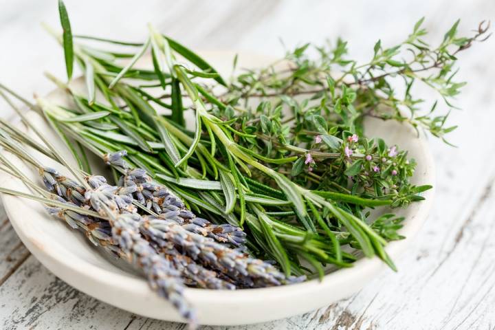 Herbs - London Food Blog
